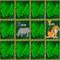 Alpha - Zoo Concentration Game -  Logiczne Gra